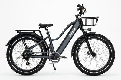 Driwin Pioneer Step Through Fat Tire Electric Bike