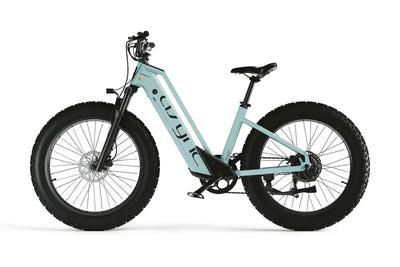 Cyrusher Model L3 52V15Ah Step Through E-Bike 750W 15Ah