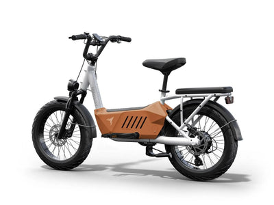 Himiway C3 Cargo Ebike