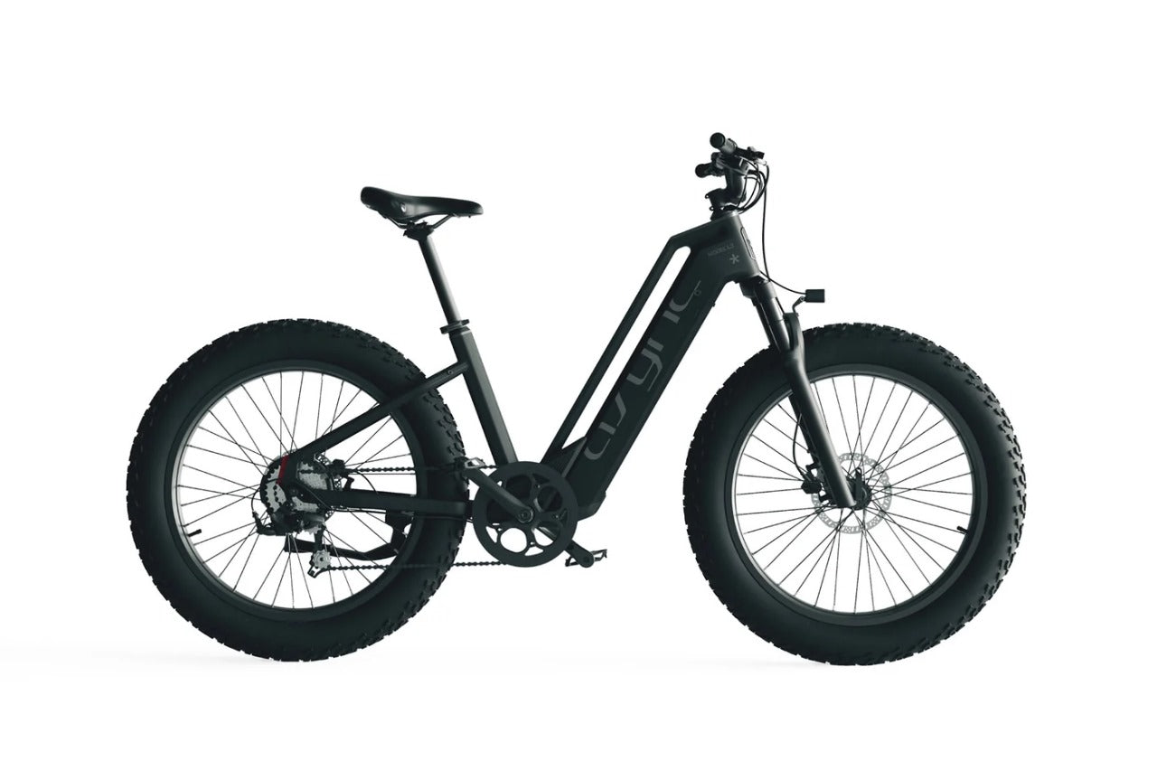 Cyrusher Model L3 52V15Ah Step Through E-Bike 750W 15Ah