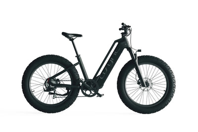 Cyrusher Model L3 52V15Ah Step Through E-Bike 750W 15Ah