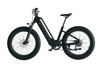 Cyrusher Model L3 52V15Ah Step Through E-Bike 750W 15Ah