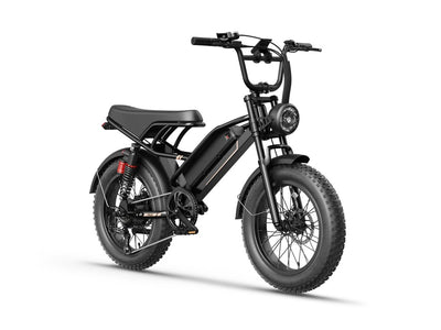 Jasion YR20 Electric Bike for Adults