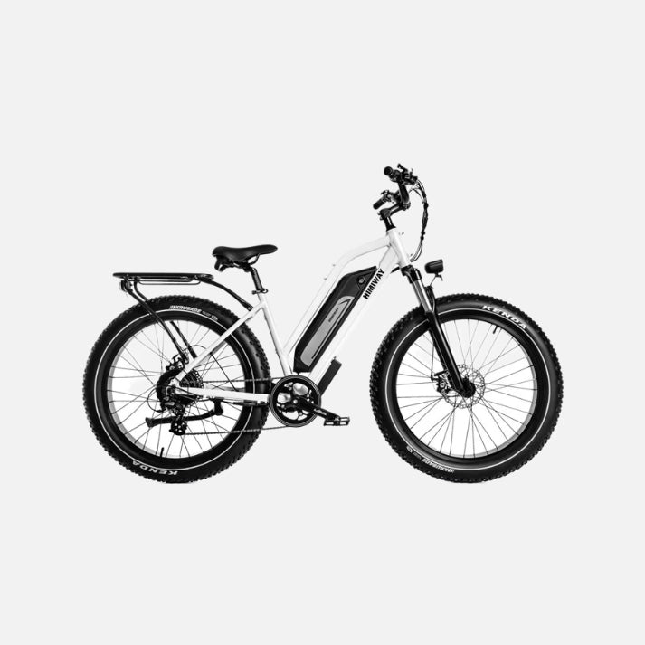 Himiway Cruiser D3 ST E-Bike 750W Motor 25mph Top Speed 35-50 Miles Range Fat Tires