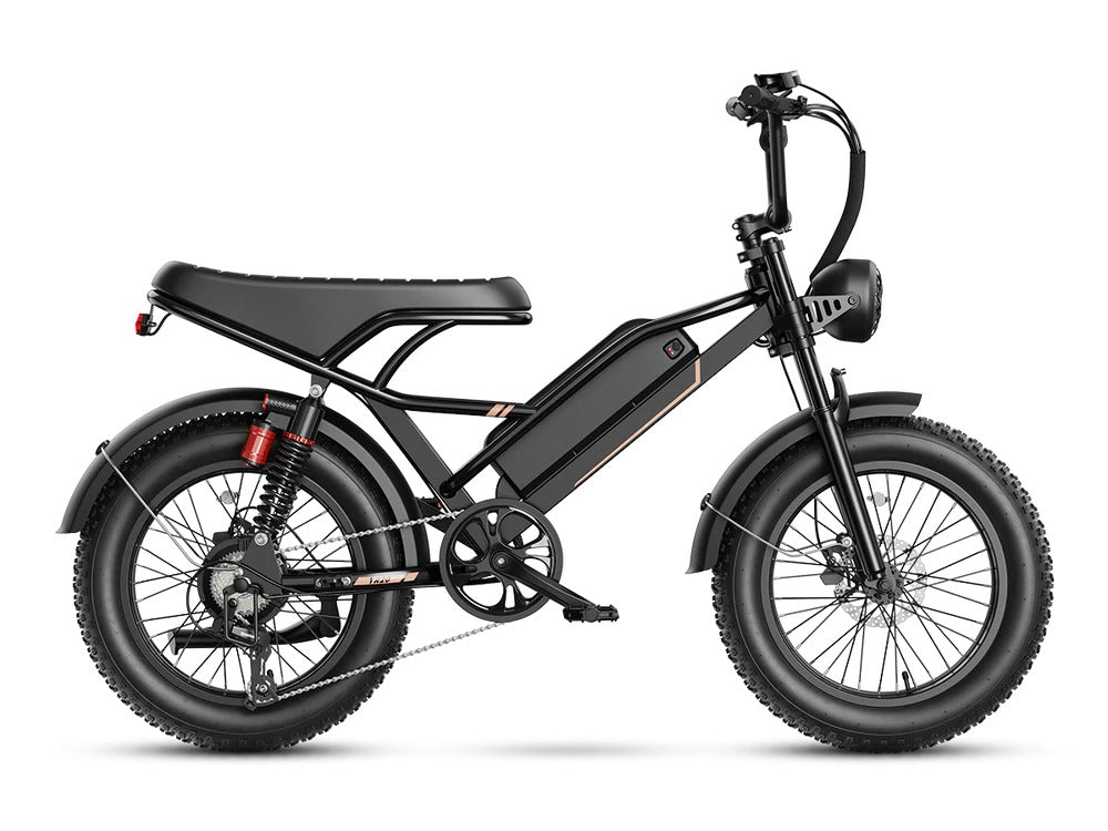 Jasion YR20 Electric Bike for Adults