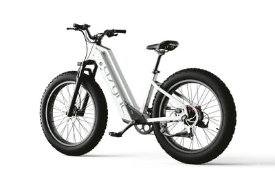 Cyrusher Model L3 52V15Ah Step Through E-Bike 750W 15Ah