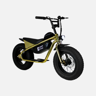 Golden cycles - big boy ebike 350w 18.6mph