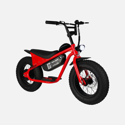 Golden cycles - big boy ebike 350w 18.6mph