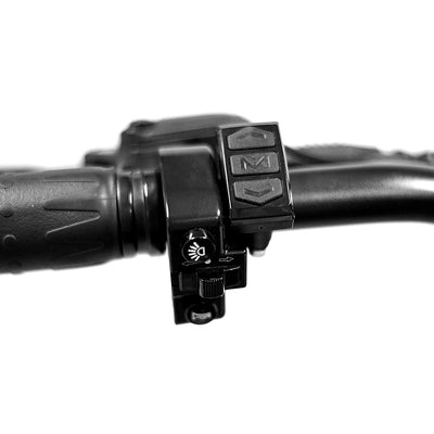 Golden Cycles Panthro Electric Bike