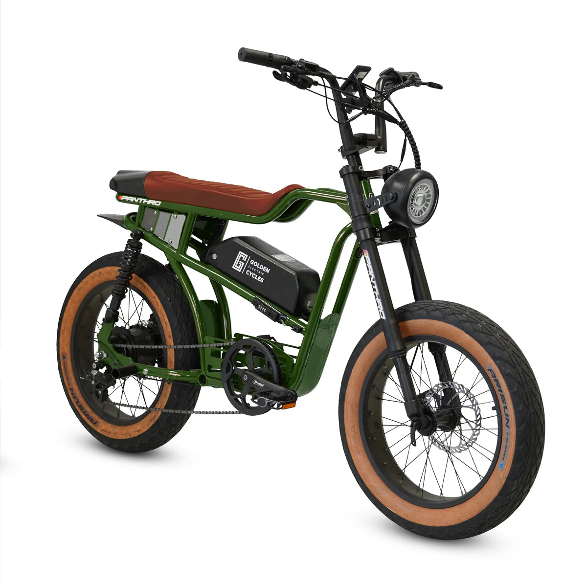 Golden Cycles Panthro Electric Bike