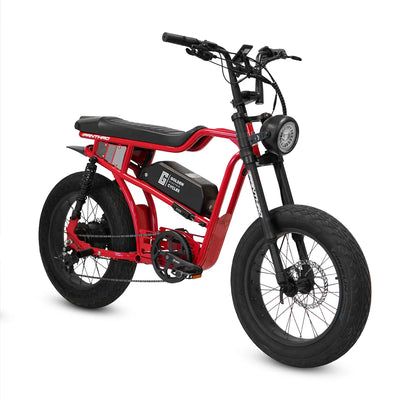Golden Cycles Panthro Electric Bike