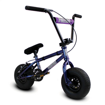Fatboy Pro Mini BMX Bike