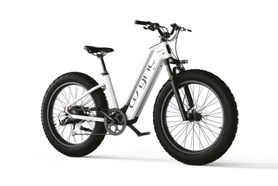 Cyrusher Model L3 52V15Ah Step Through E-Bike 750W 15Ah