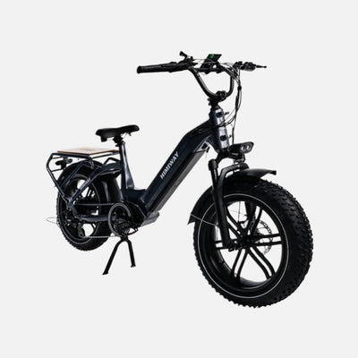Himiway Big Dog Electric Bike 750W Motor 25mph Top Speed 60-80 Miles Range 26x4'' Fat Tires
