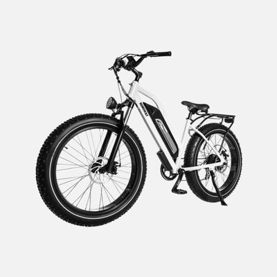 Himiway Cruiser D3 ST E-Bike 750W Motor 25mph Top Speed 35-50 Miles Range Fat Tires