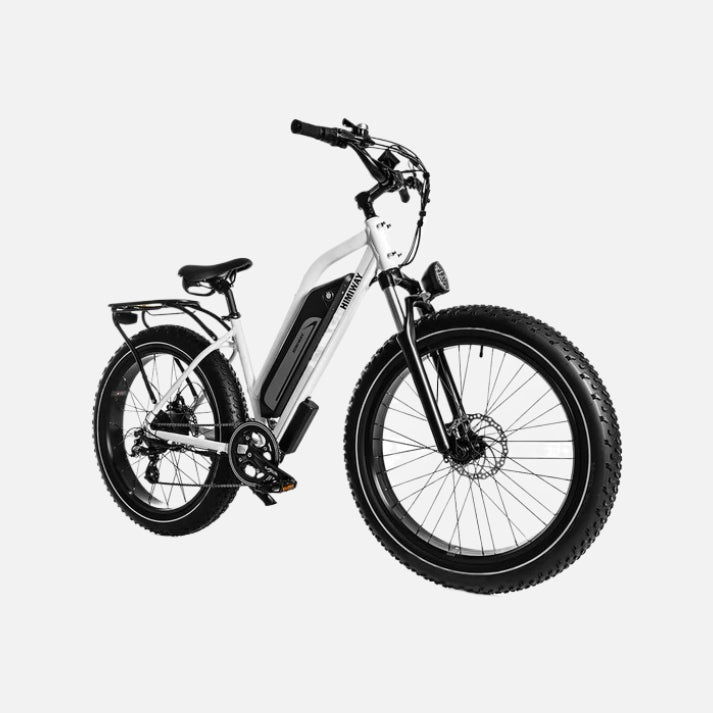 Himiway Cruiser D3 ST E-Bike 750W Motor 25mph Top Speed 35-50 Miles Range Fat Tires