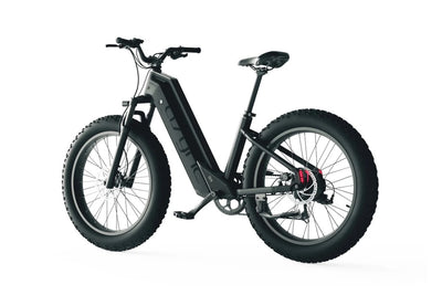 Cyrusher Model L3 52V15Ah Step Through E-Bike 750W 15Ah