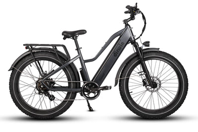 Driwin Pioneer Step Through Fat Tire Electric Bike