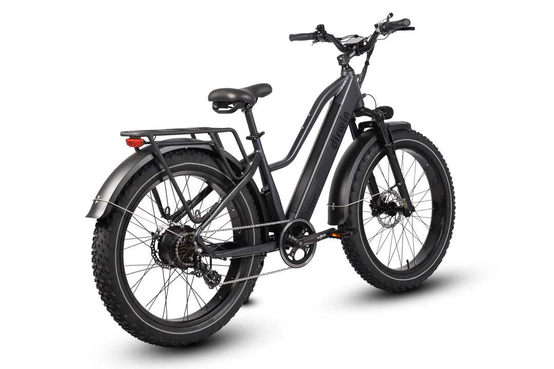 Driwin Pioneer Step Through Fat Tire Electric Bike