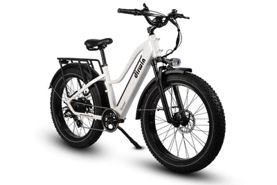 Driwin Pioneer Step Through Fat Tire Electric Bike