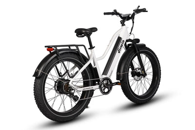 Driwin Pioneer Step Through Fat Tire Electric Bike