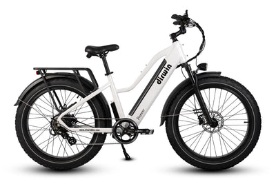 Driwin Pioneer Step Through Fat Tire Electric Bike